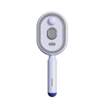 Electric Spray Hair Brush Leave-In Essential Oil Hair Care Red Light Comb Scalp Massage Reduce Frizz Smoothing Air Cushion Comb