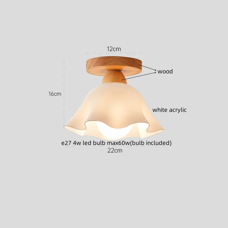 IWHD Home Lighting LED Ceiling Lights Decoration Aisle Porch Living Room Light Fixtures Nordic Ceiling Lamp Resin Copper Lustres