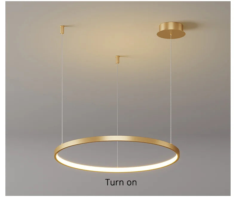 Living Room Ring Pendant Lights Acrylic Led Restaurant Chandelier Modern Minimalist Art Creative Personality Net Red Custom Lamp