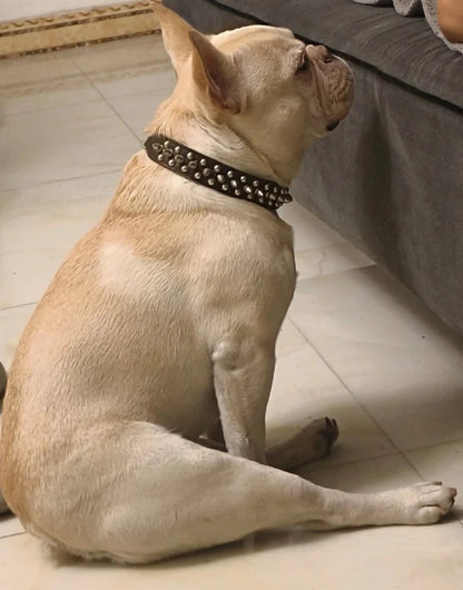 PU Dog Collar with Spike Rivet Adjustable Anti-Bite Pet Collars for Small Medium Large Dogs Bull Terrier Doberman Pinscher