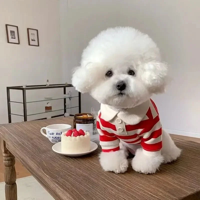 Summer Polo Shirt for Dogs Puppy Clothes Bichon Frise Chihuahua Stripe Dog Sweatshirt Dog Cooling Vest for Small and Medium Dogs