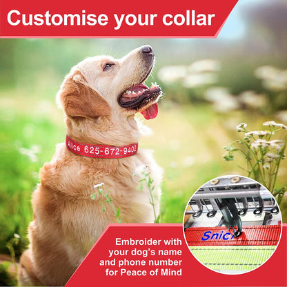 Embroidered Nylon Dog Collar Free Custom Dogs Collar Reflective Pet ID Name Phone No. For Small Medium Large Dogs Pug Adjustable