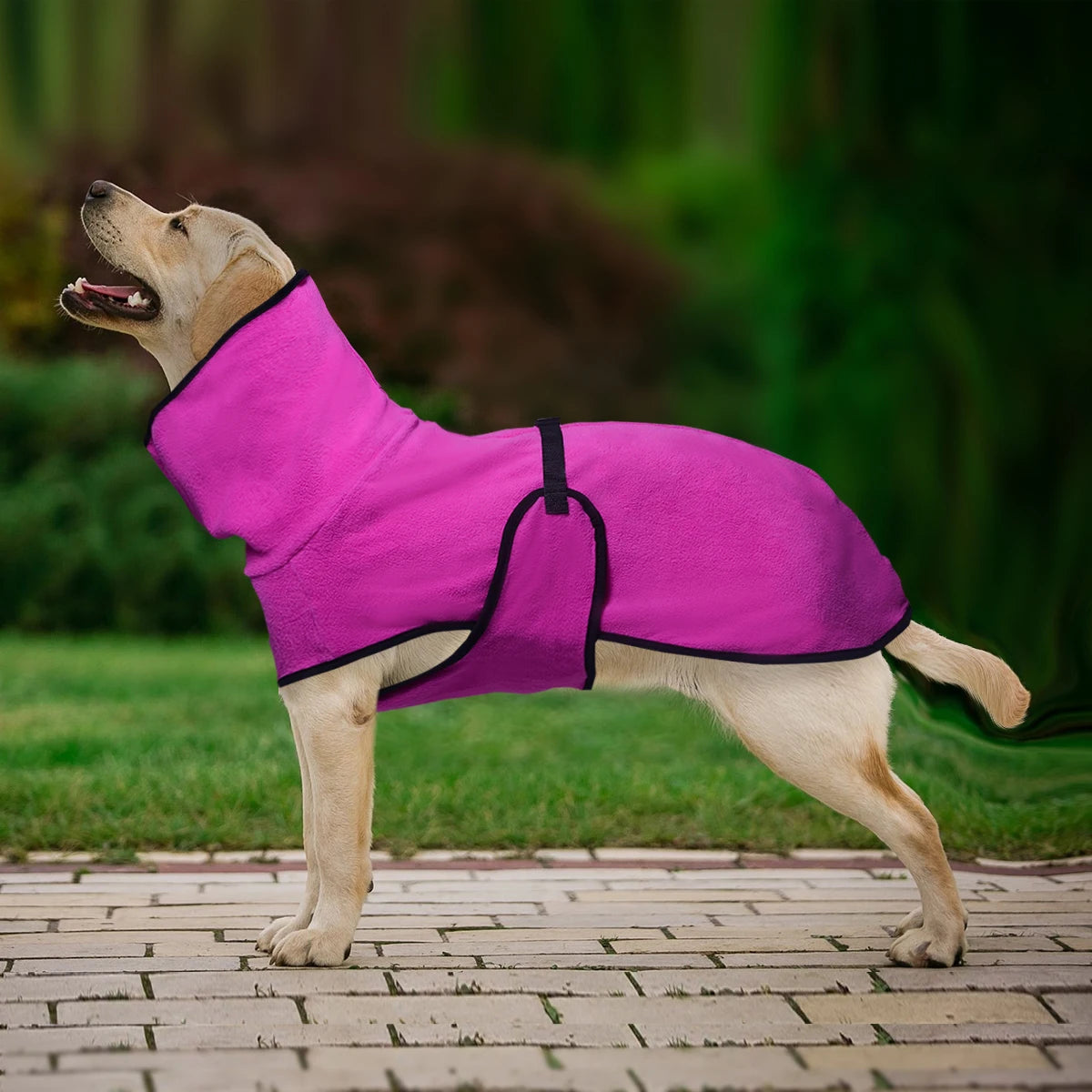 Generic Dog Winter Coat for Whippet, Greyhound Cosy Fleece Jumper, Jacket Lurcher and Clothe with Warm Lining, Adjustable Band M