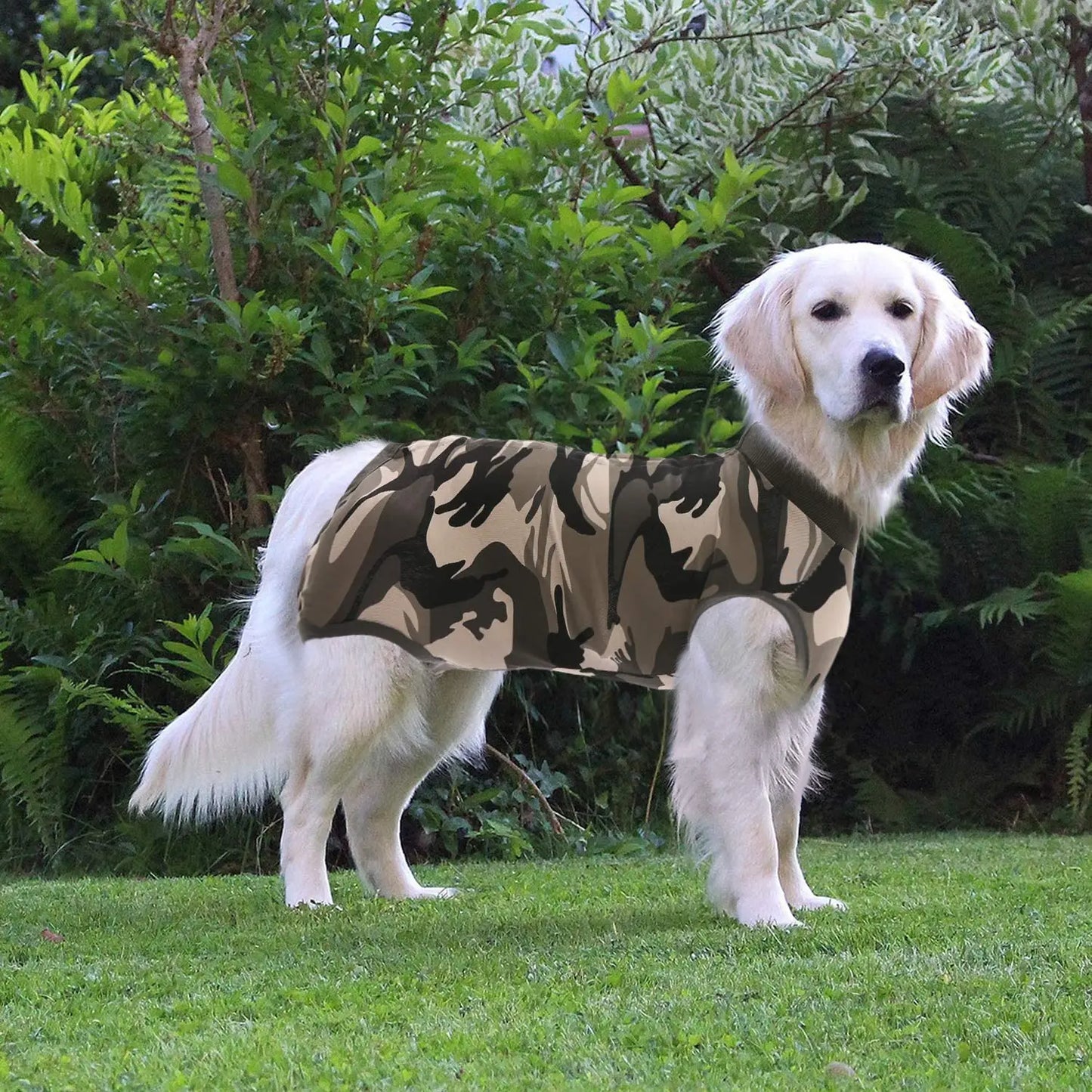 Dog Recovery Suit Abdominal Wound Surgical Clothes Dogs Anti-Licking Pet Onesies Vest Post Surgery Dog Sterilization Suit