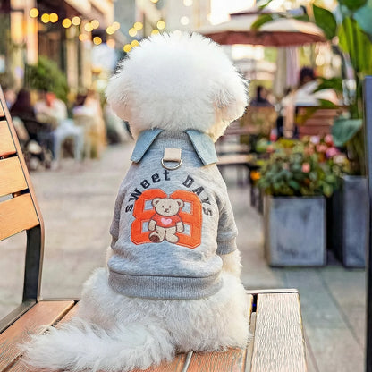 Preppy Bear Pet Sweatshirt, Gray with Denim Collar, Embroidery, D-Ring Included, Pullover Two-Legged Outfit for Small Dogs &Cats