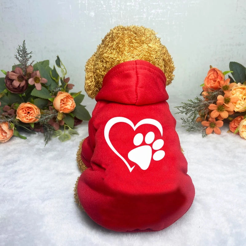 Puppy Pet Hooded Sweatshirt Autumn Winter Two-legged Pocket Cat Dog Clothes