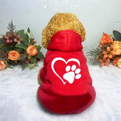 Puppy Pet Hooded Sweatshirt Autumn Winter Two-legged Pocket Cat Dog Clothes