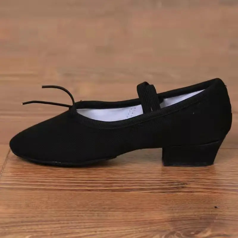 Ballet Dance Shoes Women Teacher Stage Training Shoes Soft Sole Slippers Yoga Belly Practice Shoes Girls Jazz Dancing Shoes