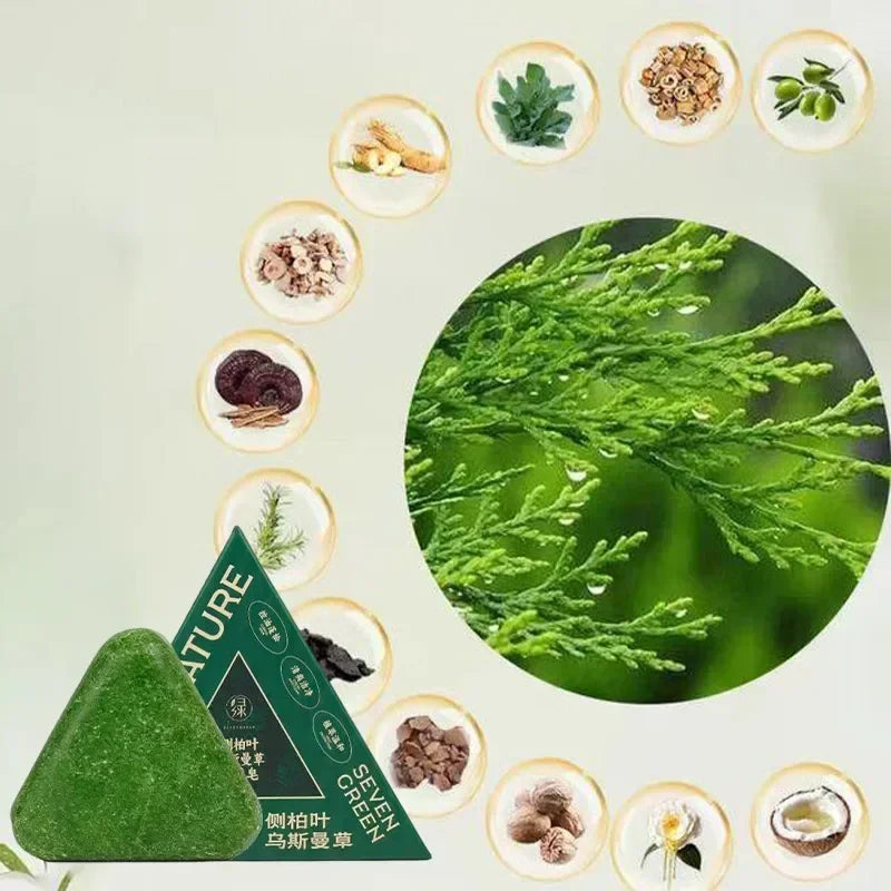 Arborvitae Leaf Shampoo Bar Usman Herbs Strengthen Hair Thicken Hair  Oil Control Anti-dandruff Oriental Natural Shampoo Bar