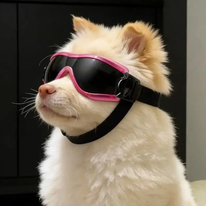 These Pet Dog Sunglasses Can Block Ultraviolet Rays, and the Dog Goggles Are Windproof and Dustproof.