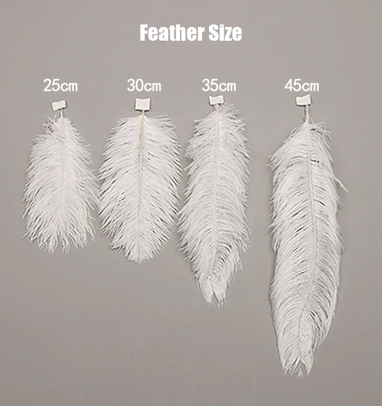Nordic White Ostrich Feather Pendant Light Modern Led Chandelier Lights for Living Dining Room Children's Decor Hanghing Lamp