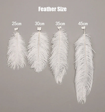 Nordic White Ostrich Feather Pendant Light Modern Led Chandelier Lights for Living Dining Room Children's Decor Hanghing Lamp
