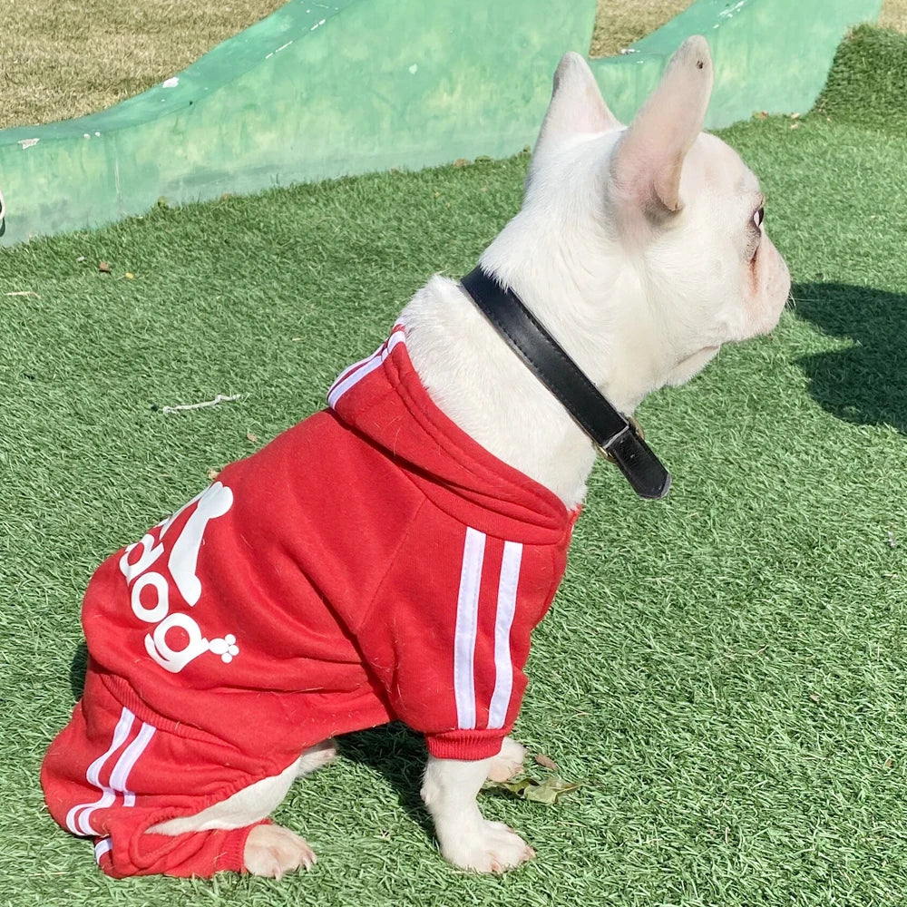 Spring Dog Jumpsuit Sports Suit for Small Dogs - Charming Pet Apparel for Chihuahua Terrier Beagle - Comfortable Clothing