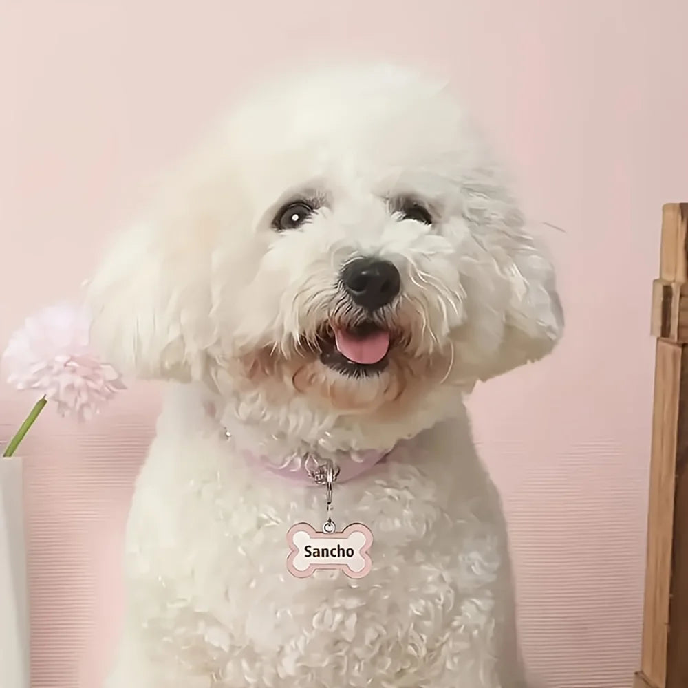 Engraved Dog Collar with Name & Phone Number Adjustable Custom Puppy Collar Pet ID Tag for Small Medium Large Dogs & Cats Collar