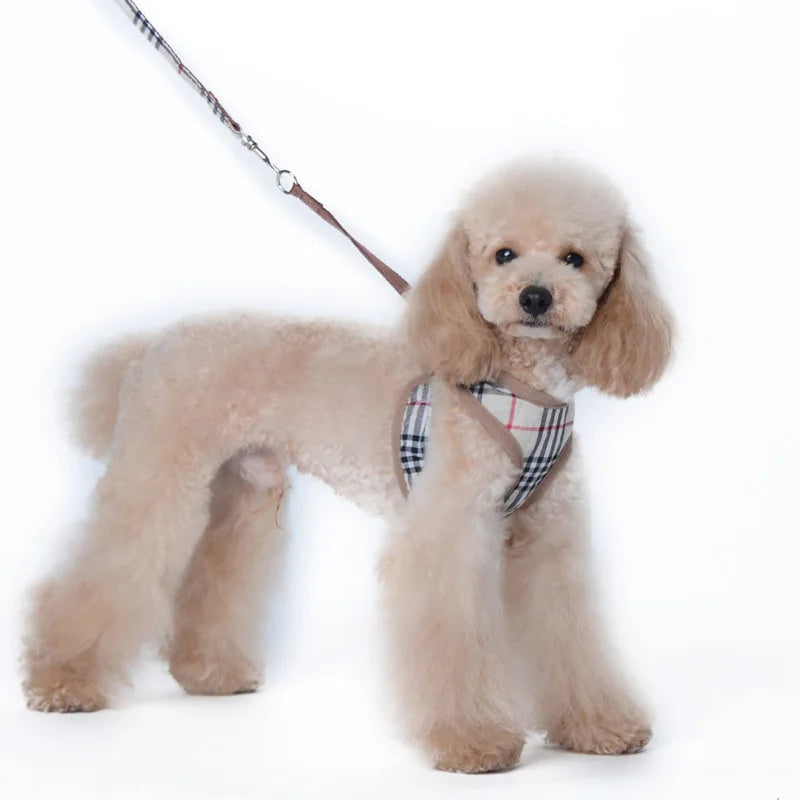 Tide brand pet chest back strangulation dog leash set dog walking rope cat adjustable dog chest back.