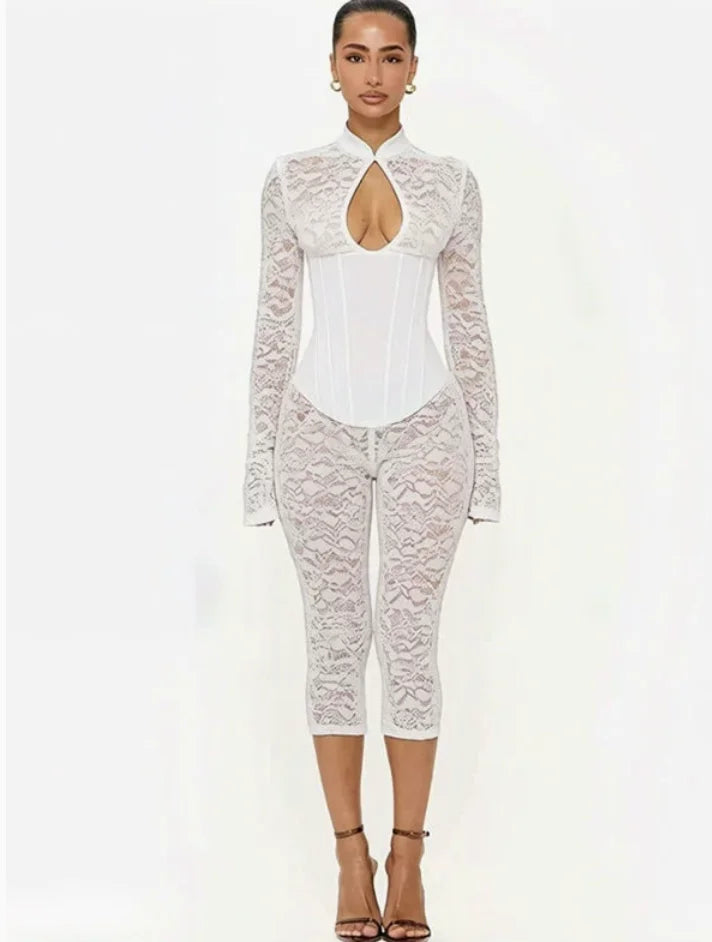 Zebra Stripes Leopard Print Skinny Jumpsuits Women Sexy See Through Mesh Patchwork Half High Collar Full Sleeve Slim Overalls