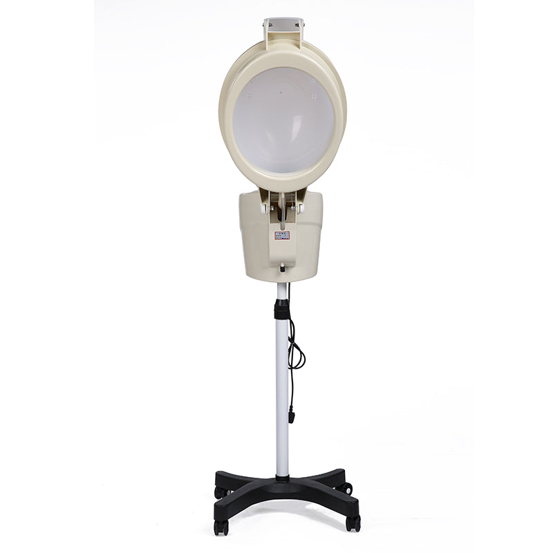 Hair Steamer Luxury Household Oil Treatment Machine Hair Salon