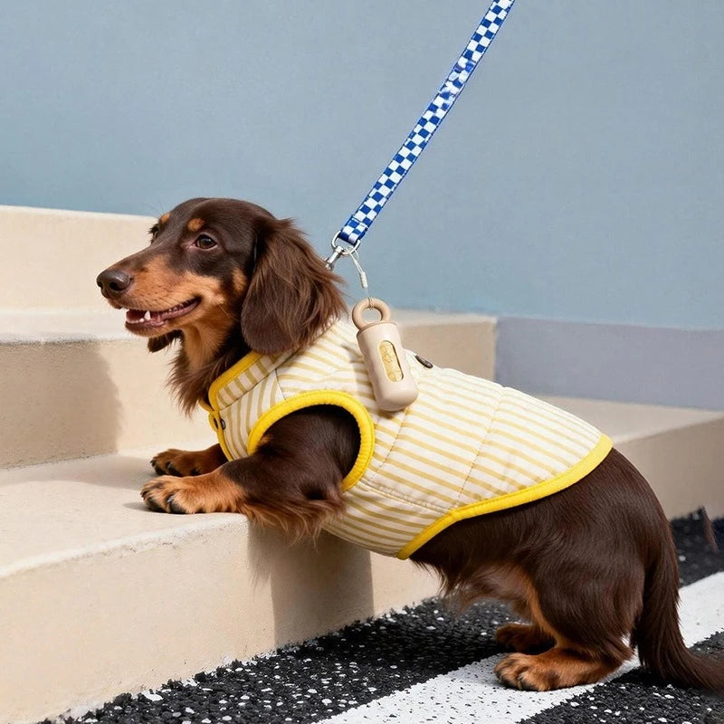Portable Outdoor Dog Poop Bags Dispenser Stylish Pet Garbage Bags Dispenser for Dogs Cats Pet Cleaning Supplies Accessories