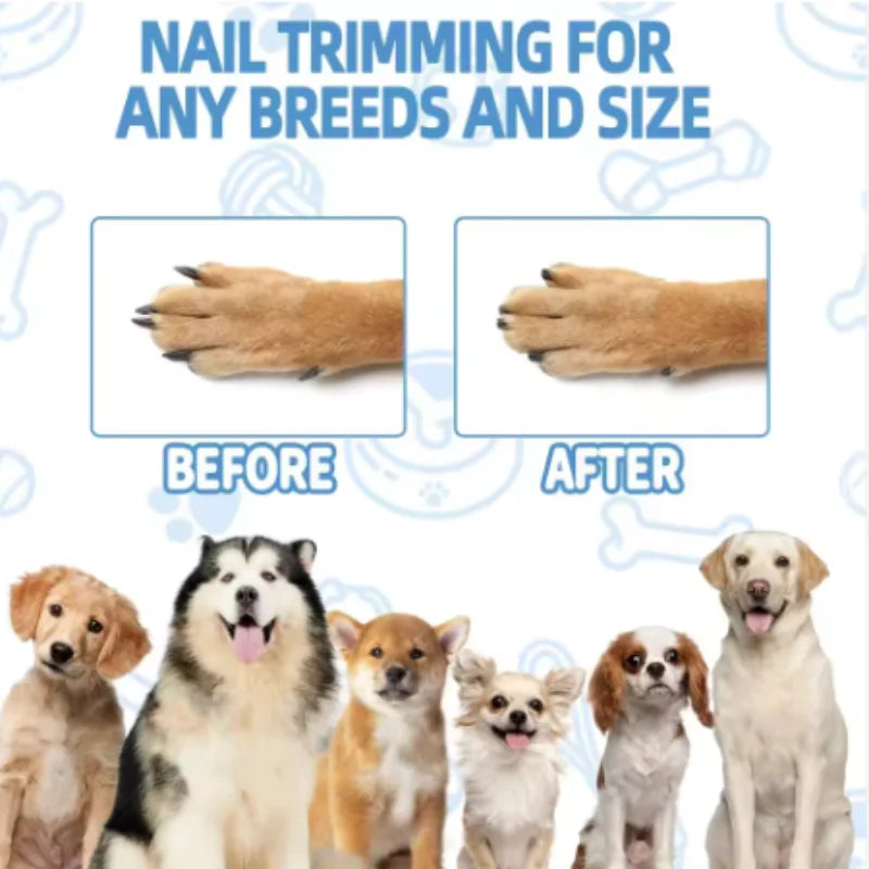 Wooden Pet Scratching Board for Dogs with Built-in Treat Box Nail Trim Pad Pull-Out Design Sandpaper Surface Scratch Toy