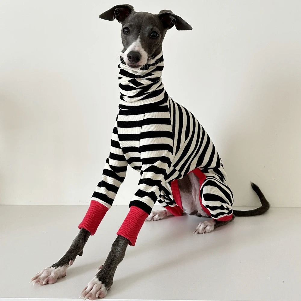4-legged Cotton Coat for Dog Greyhounds Loungewear Spring Autumn Whippet Dog Black Striped Sweatshirt Bellington High-Neck Shirt