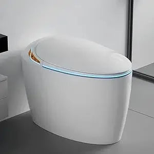 Luxury Smart Toilet With Bidet Seat, Elongated Egg Shaped Modern Design, Auto Open Auto Flush, Adjusted Heated Seat, Warm Water