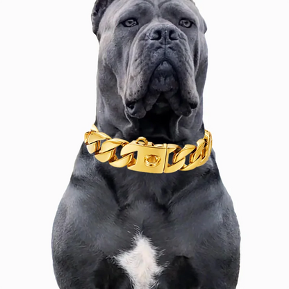 Large Dog Collar 32mm Metal Pet Choker Gold Silver Stainless Steel Chain Dog Accessories for Cane Corso Labrador Rottweiler