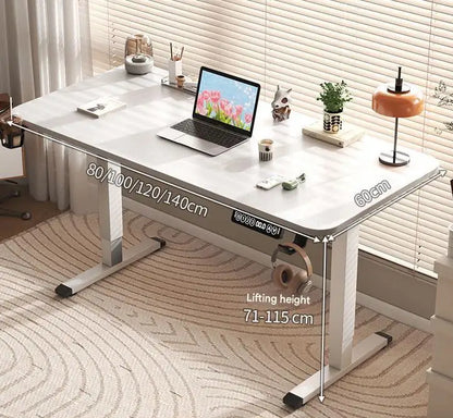 Electric Standing Desk 80/100/120/140cm Height Adjustable Office Computer Desk Study Gaming Table for Workstation Business Use