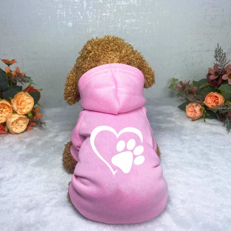 Puppy Pet Hooded Sweatshirt Autumn Winter Two-legged Pocket Cat Dog Clothes
