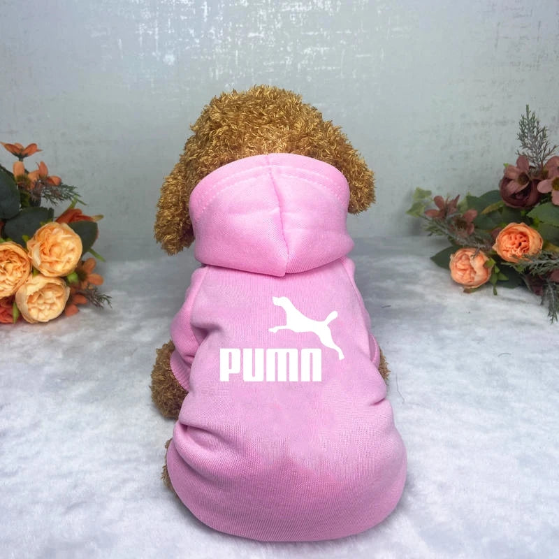 Dog clothes Pet clothes Popular fashion Hoodie Large, medium and small pet clothes Casual warm dog clothes