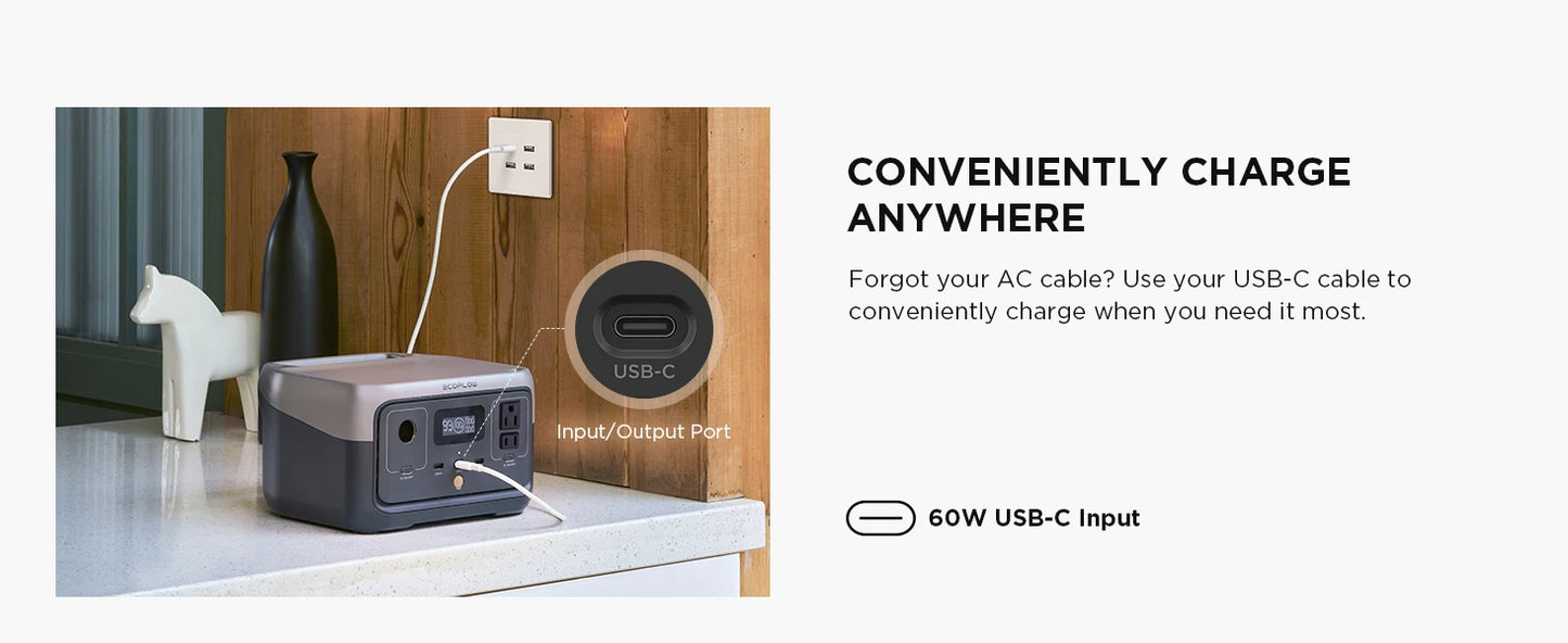 ECOFLOW Portable Power Station RIVER 2, 243Wh LiFePO4 Battery/ 1 Hour Fast Charging, 2 Up to 600W AC Outlets, Solar Generator