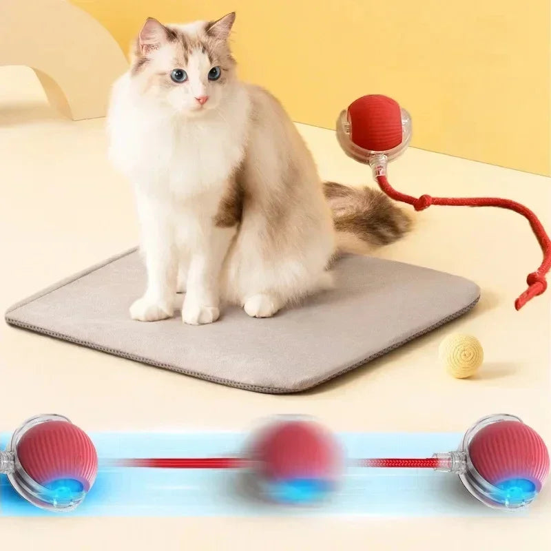 Rechargeable Automatic Rolling Ball Cat Toy – Fake Tail, Imitate Mouse, Electric Interactive for Cats & Dogs