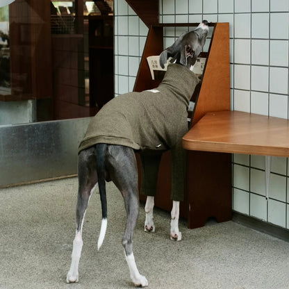 Spring Clothing for Italy Greyhound  Autumn Soft High-Neck Cotton Grey T-shirt for Whippet Winter Long Sleeved Pajamas for Dogs