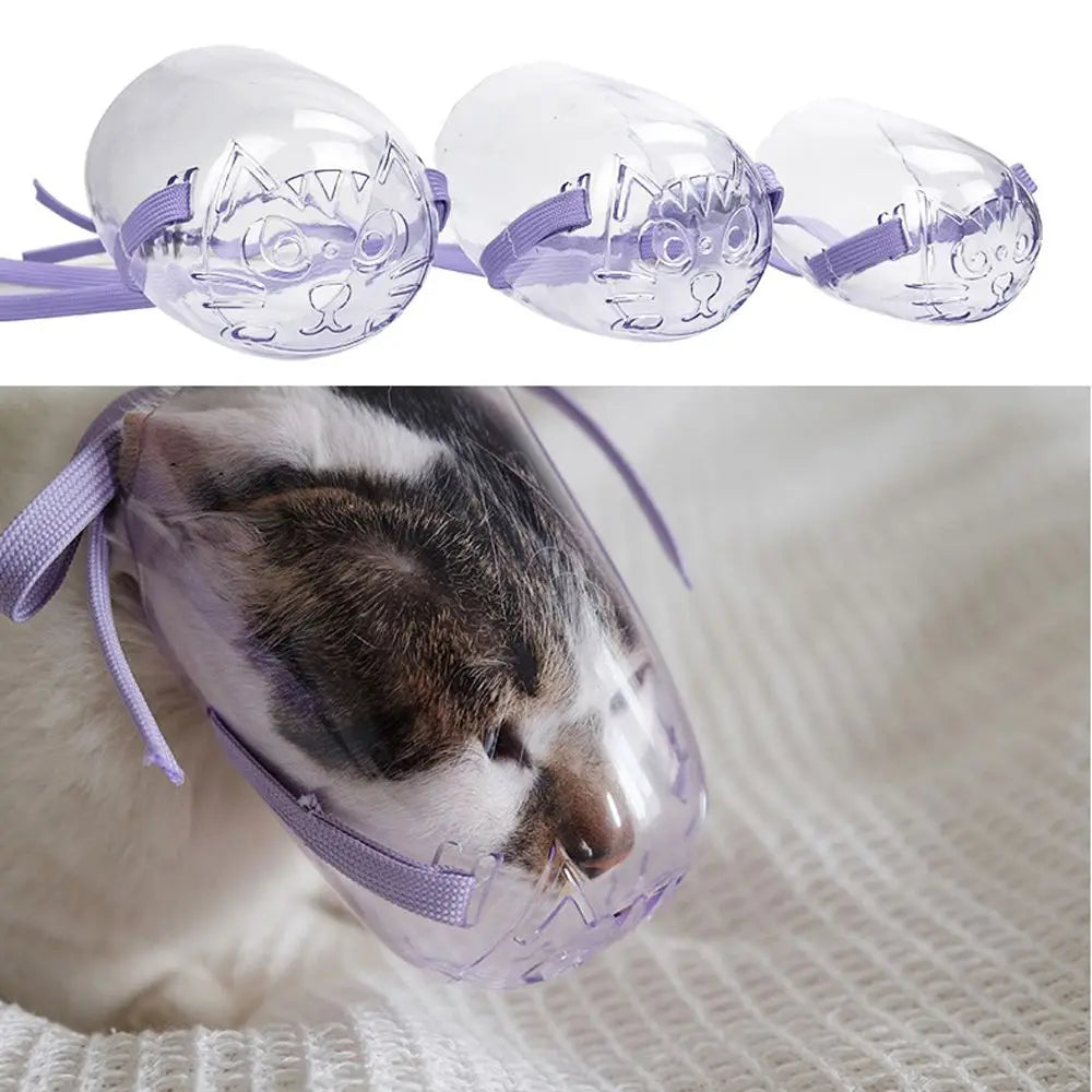 Breathable Kitten Cat Recovery Hollow-Carved Design Pet Mouth Cover Cat Mask Transparent Anti-Bite Cat Muzzle