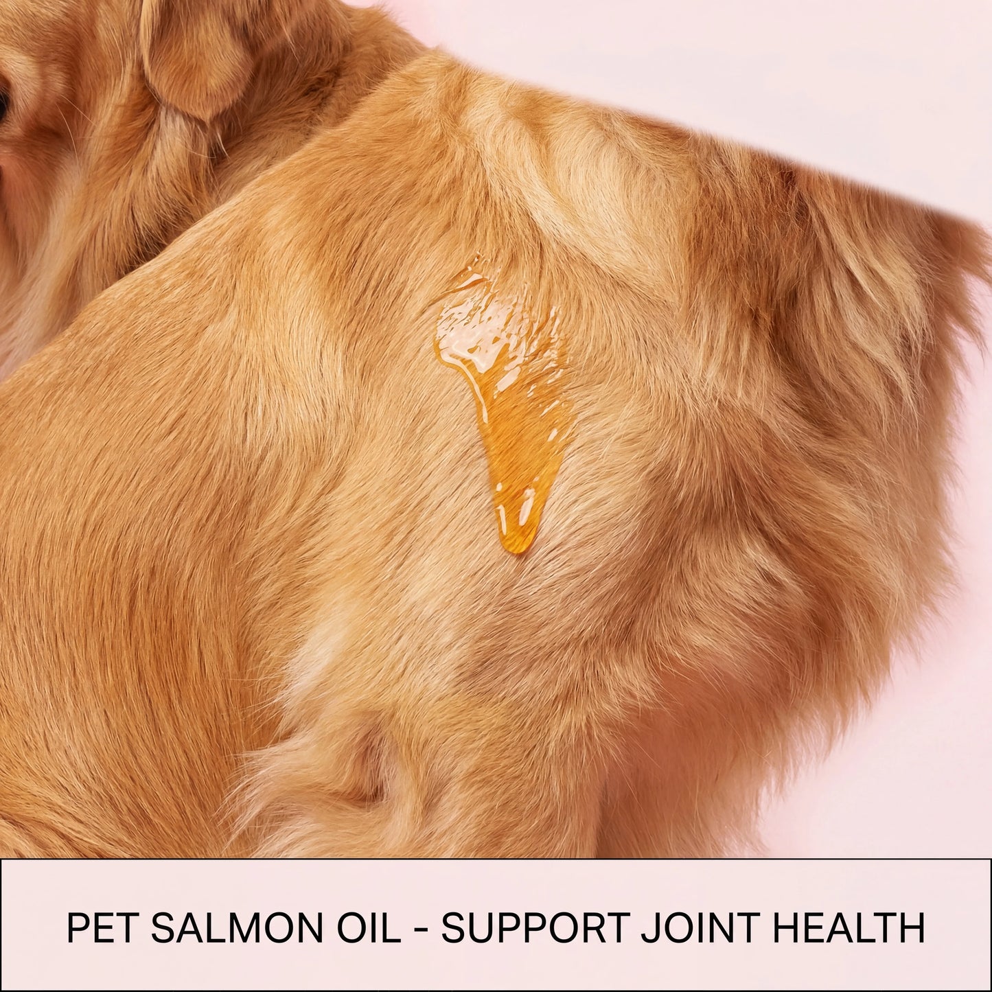 100ml Pure Salmon Oil for Dogs and Cats Omega 3 Fatty Acids Liquid Skin and Coat Supplement Joint Support Pet Health Supplies