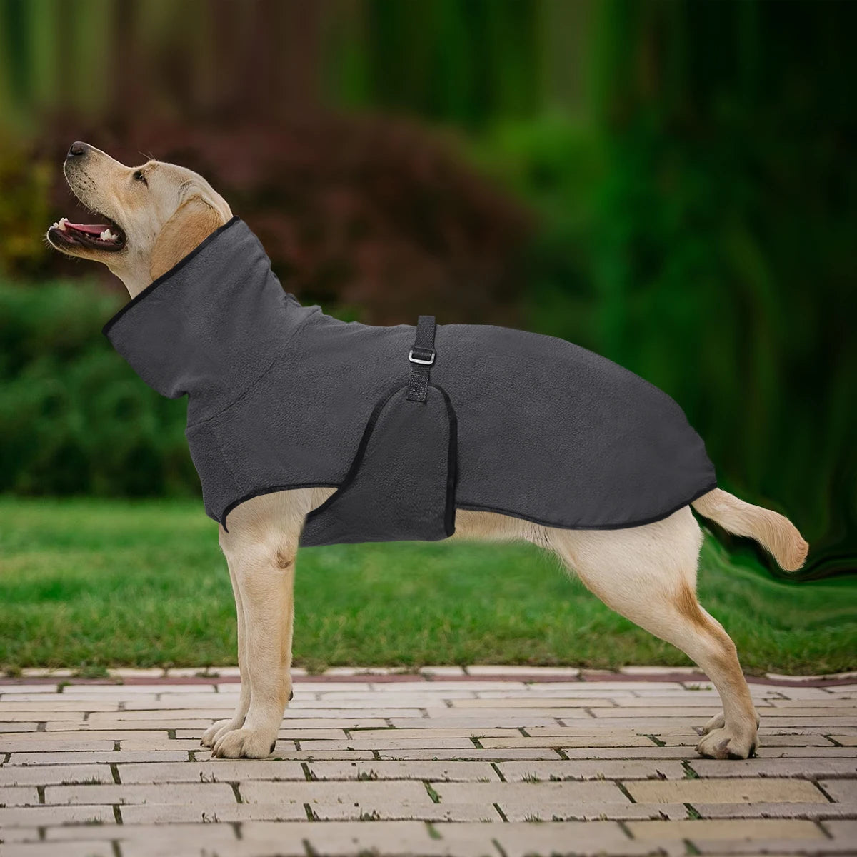 Generic Dog Winter Coat for Whippet, Greyhound Cosy Fleece Jumper, Jacket Lurcher and Clothe with Warm Lining, Adjustable Band M