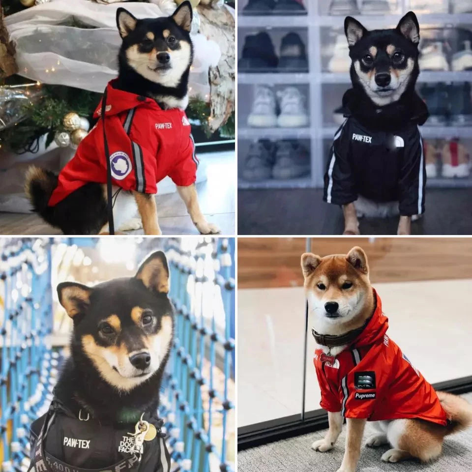 Pet Dog Waterproof Coat Dog Raincoat Reflective Dog Outdoor Clothes Hooded Jacket for Small Medium Large Dog Pet Supplies