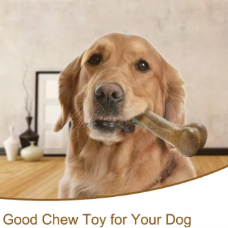 Natural Non-Toxic Indestructible Dog Bone Chew Toy Anti-Bite Puppy Teething Chew Toy for Small Medium Large Dogs Pet Chewbone