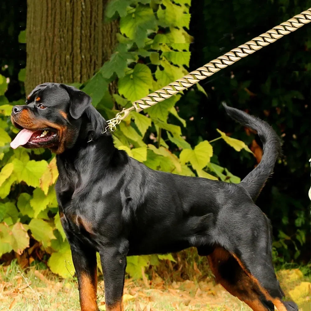 Traction Solid Super Strong Gold Collar Stainles Steel Dog Leash Pet Lead Chain 32mm 19mm Bulldog Pitbull Large Dog Collar Leash