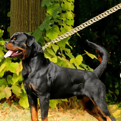 Traction Solid Super Strong Gold Collar Stainles Steel Dog Leash Pet Lead Chain 32mm 19mm Bulldog Pitbull Large Dog Collar Leash