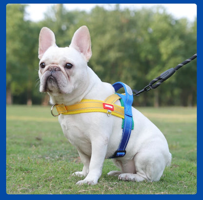 Dog Harness No Pull Saddle-Style Small Medium Dogs Walking No Choke Bichon Outdoor Safety Reflective Vest Pet Chest Harness