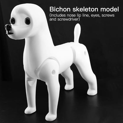 Fenice Pet Simulation Hair Grooming Fake Dog Model Practice Dog Standard Skeleton Model Dog Full Body Fake Hair
