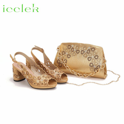 New Fashionable Coffee Color Peep Toe Ladies Shoes Matching Bag Set For Nigerian Women Wedding Party Pump