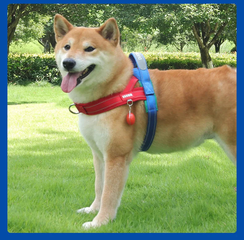 Dog Harness No Pull Saddle-Style Small Medium Dogs Walking No Choke Bichon Outdoor Safety Reflective Vest Pet Chest Harness