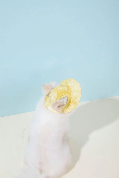 Pets Hat with Ear Holes Adjustable Baseball Cap for Medium Small Dogs Summer Dye Cats Sun Cap Pet Outdoor Hat Pet Supplies