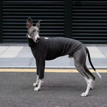 Spring Clothing for Italy Greyhound  Autumn Soft High-Neck Cotton Grey T-shirt for Whippet Winter Long Sleeved Pajamas for Dogs