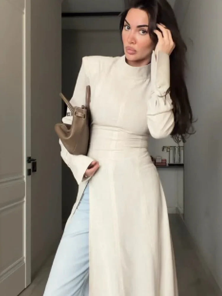 Women's Casual High Neck Long Sleeve Maxi Dress Elegant Waist Slimming Slit Hem Unique Wear Chic Lady Formal Work Meeting Outfit