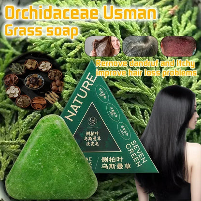 Arborvitae Leaf Shampoo Bar Usman Herbs Strengthen Hair Thicken Hair  Oil Control Anti-dandruff Oriental Natural Shampoo Bar
