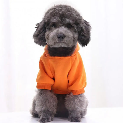 Puppy Pet Hooded Sweatshirt Autumn Winter Two-legged Pocket Cat Dog Clothes