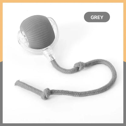 Rechargeable Automatic Rolling Ball Cat Toy – Fake Tail, Imitate Mouse, Electric Interactive for Cats & Dogs