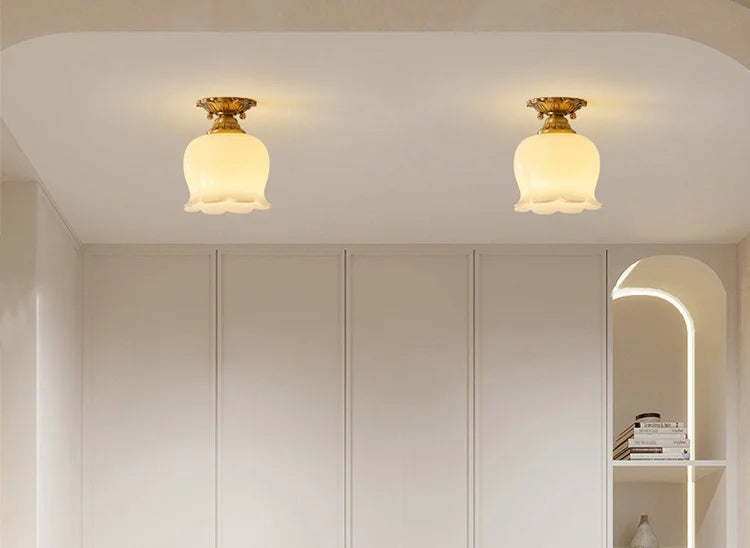 IWHD Home Lighting LED Ceiling Lights Decoration Aisle Porch Living Room Light Fixtures Nordic Ceiling Lamp Resin Copper Lustres